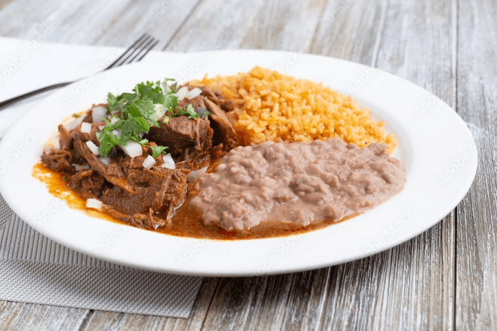 Birria Plate
